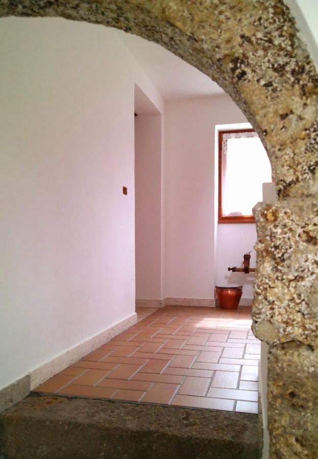 Cjasa Da Puci Apartment Ovaro Exterior photo